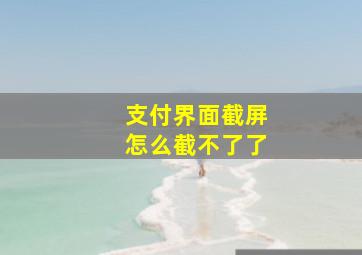 支付界面截屏怎么截不了了