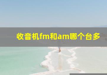 收音机fm和am哪个台多