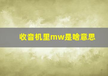 收音机里mw是啥意思