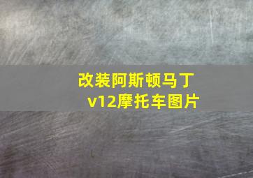 改装阿斯顿马丁v12摩托车图片