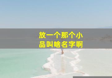 放一个那个小品叫啥名字啊