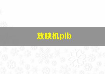 放映机pib