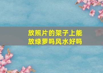 放照片的架子上能放绿萝吗风水好吗