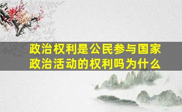 政治权利是公民参与国家政治活动的权利吗为什么