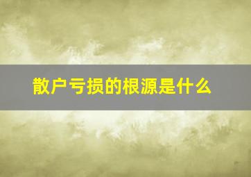 散户亏损的根源是什么