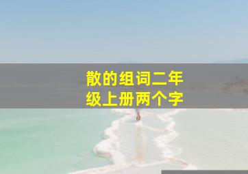 散的组词二年级上册两个字