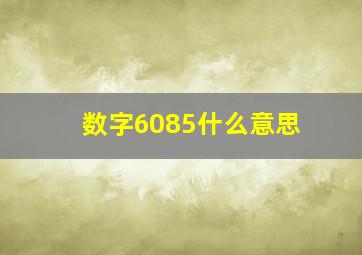 数字6085什么意思