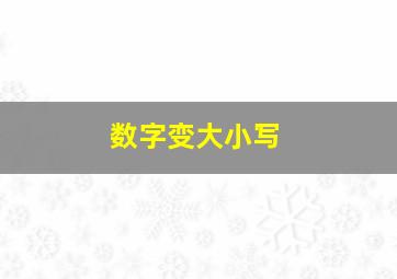 数字变大小写