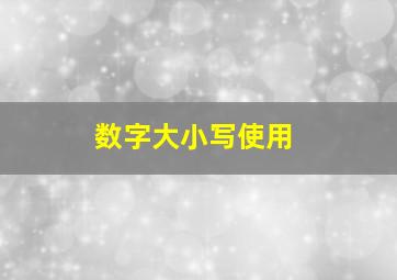 数字大小写使用