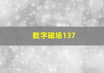 数字磁场137