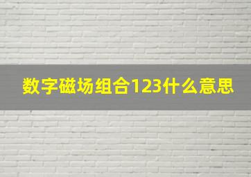 数字磁场组合123什么意思