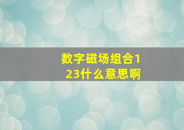 数字磁场组合123什么意思啊