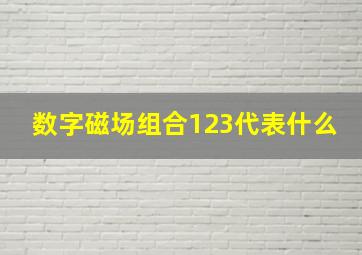 数字磁场组合123代表什么