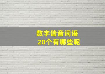 数字谐音词语20个有哪些呢