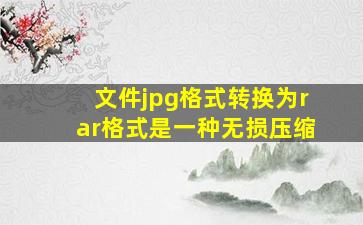 文件jpg格式转换为rar格式是一种无损压缩