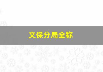 文保分局全称