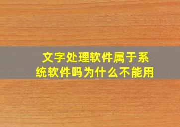 文字处理软件属于系统软件吗为什么不能用