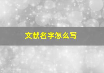 文献名字怎么写