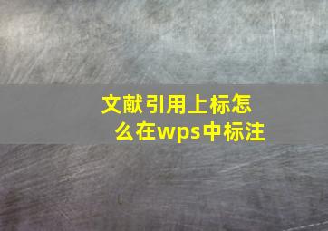 文献引用上标怎么在wps中标注