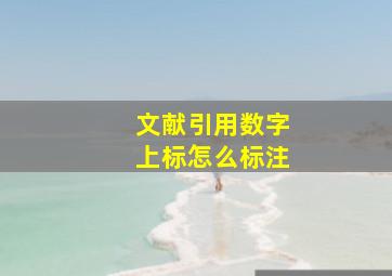 文献引用数字上标怎么标注