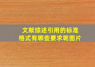 文献综述引用的标准格式有哪些要求呢图片