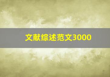 文献综述范文3000