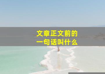 文章正文前的一句话叫什么