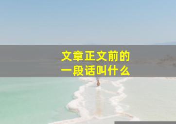 文章正文前的一段话叫什么