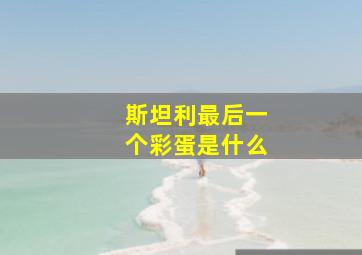 斯坦利最后一个彩蛋是什么