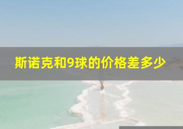 斯诺克和9球的价格差多少