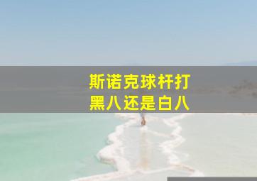 斯诺克球杆打黑八还是白八