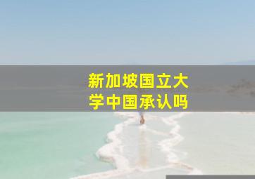 新加坡国立大学中国承认吗