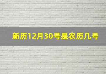 新历12月30号是农历几号