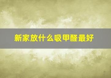 新家放什么吸甲醛最好