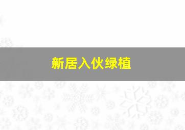 新居入伙绿植