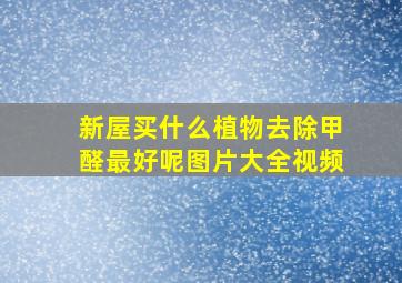 新屋买什么植物去除甲醛最好呢图片大全视频