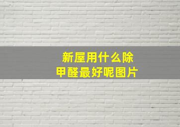 新屋用什么除甲醛最好呢图片