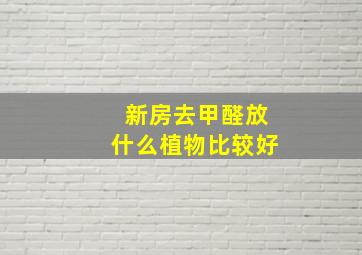 新房去甲醛放什么植物比较好