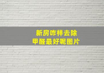 新房咋样去除甲醛最好呢图片