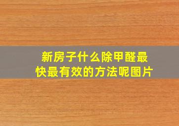 新房子什么除甲醛最快最有效的方法呢图片