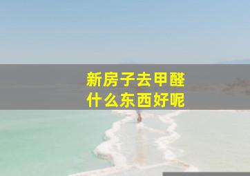 新房子去甲醛什么东西好呢