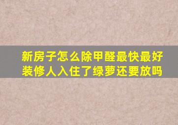 新房子怎么除甲醛最快最好装修人入住了绿萝还要放吗