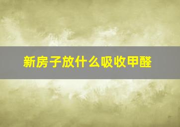 新房子放什么吸收甲醛