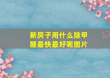 新房子用什么除甲醛最快最好呢图片