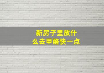 新房子里放什么去甲醛快一点