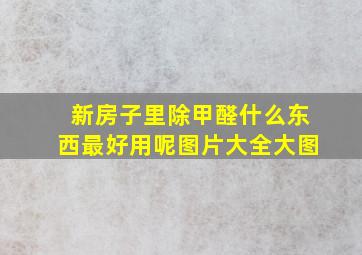 新房子里除甲醛什么东西最好用呢图片大全大图