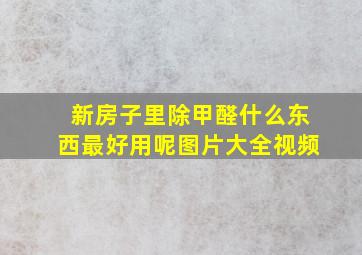 新房子里除甲醛什么东西最好用呢图片大全视频