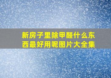 新房子里除甲醛什么东西最好用呢图片大全集