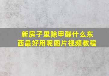 新房子里除甲醛什么东西最好用呢图片视频教程