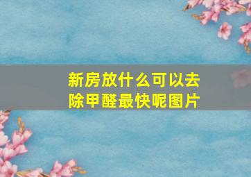 新房放什么可以去除甲醛最快呢图片